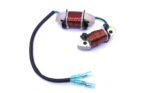 855944T01   COIL Alternator