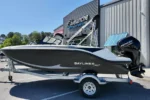 2025 Bayliner Element M17| 17'